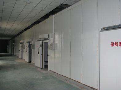 氣調(diào)庫(kù)相比較保鮮庫(kù)而言的話都有哪些特點(diǎn)?